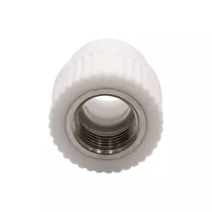Муфта комб.&nbsp;вн&nbsp;20&times;1/2&rsquo;&rsquo; EVER<sup class="reg">&reg;</sup> plast БЕЛЫЙ (Россия)